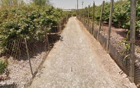 大樹姑山6.1分美景農地