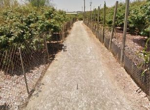 大樹姑山6.1分美景農地