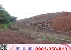 觀音大面積工業用地/工業地廠房買賣租賃