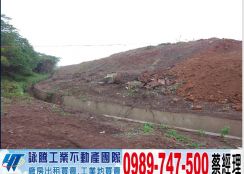 觀音大面積工業用地/工業地廠房買賣租賃