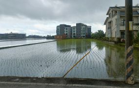 永慶許書豪★近國五美城足坪農地