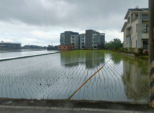 永慶許書豪★近國五美城足坪農地