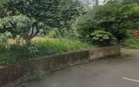 琪琪🐝推~龍潭交流道旁小坪數置產一般農