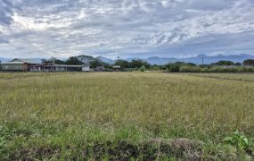 永慶許書豪★近羅東生活圈801大面寬農地