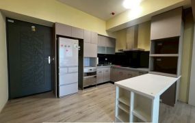 德崙北歐3房平車