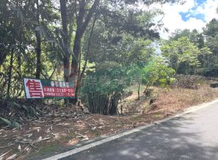 太平近學校龍鳳莊6米路地