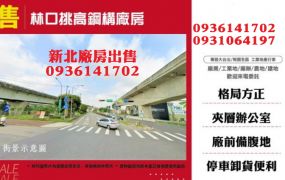 林口挑高鋼構廠房