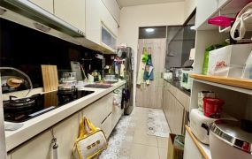 勝麗A+小資首選清新兩房