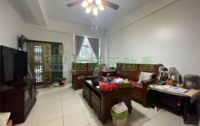 竹南龍山明亮孝親五房透天