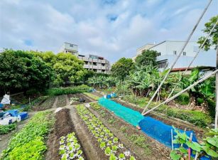 竹南正市區30米臨路超值建地