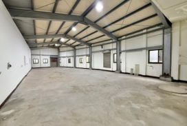 近華通整新黃金招財金透店