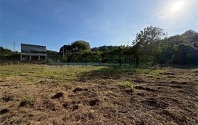 稀有釋出長照機構用地