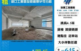 湖口工業區全新廠辦5F可分租