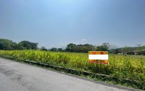 永慶許書豪★三星捷場市80米大面寬美農地