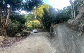 太平近頭汴國小6米路俗地