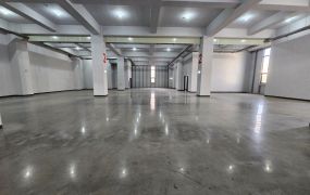 平鎮產業園區2000坪全新可廠登廠辦出租