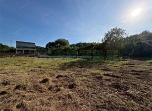 稀有釋出長照機構用地