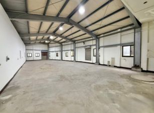 近華通整新黃金招財金透店