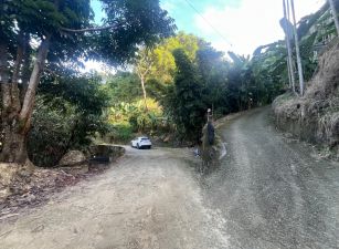 太平近頭汴國小6米路俗地