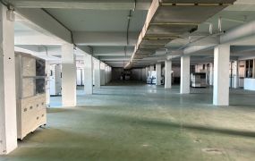 近大湳交流道RC可廠登500坪廠房