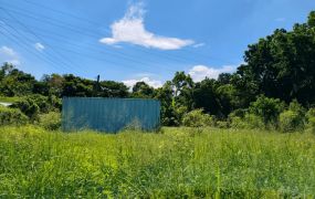 楠西灣丘社區有路有水有電一般農