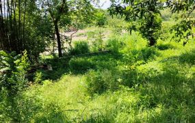 玉井噍吧哖公園景觀農地《公園出入》