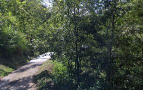 楠西梅嶺風景區1.8甲農牧用地有臨路