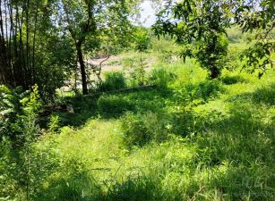 玉井噍吧哖公園景觀農地《公園出入》