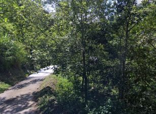 楠西梅嶺風景區1.8甲農牧用地有臨路