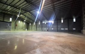 林口交流道/挑高8米/鋼構廠房 &bull;   桃園廠房買賣/工業地/建地/徵收農地/廠房出租