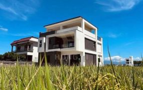 冬山田野電梯農舍-21世紀*游力暟