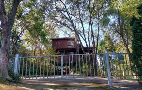 新竹縣橫山田寮｜靜謐森林系｜鋼構木屋｜293坪｜售價890萬