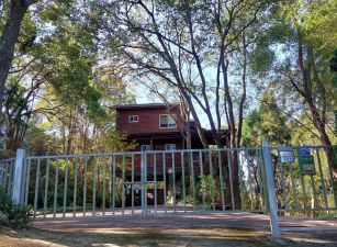 新竹縣橫山田寮｜靜謐森林系｜鋼構木屋｜293坪｜售價890萬