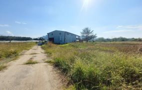 台南玉井竹圍2.4甲優質農地