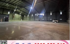 龜山稀有單層挑高廠房/工業地廠房買賣租賃