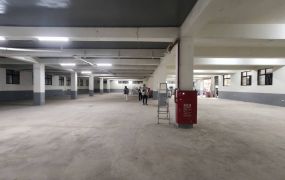 八德近台一線大面寬挑高可廠登廠房