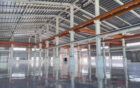 大埔美挑高碼頭廠