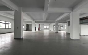 中壢產業園區內可納管全新廠房