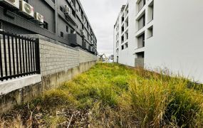 苗栗高鐵特區百坪建地