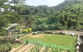 南投正12米路邊農地