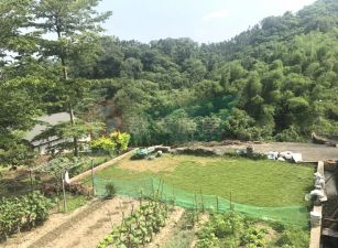 南投正12米路邊農地