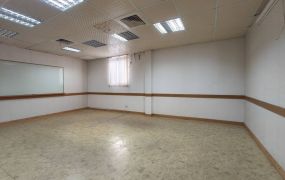 近中壢產業園區可廠登廠房