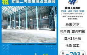 新屋三角窗挑高17米店面廠房