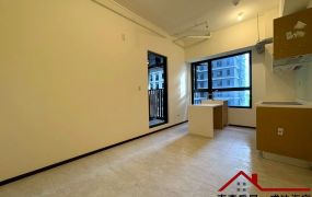 獨賣 安平愛琴海景8樓全新兩房平車