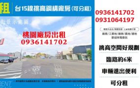 近600坪挑高鋼構廠房(可分租)