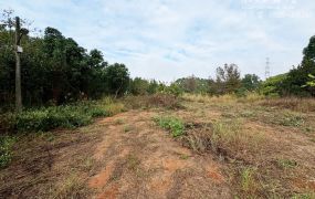 🌾【西屯區｜近西屯路】方正大面寬農地｜301 坪｜中科旁