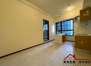 獨賣 安平愛琴海景8樓全新兩房平車