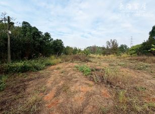 🌾【西屯區｜近西屯路】方正大面寬農地｜301 坪｜中科旁