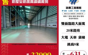 新屋全新挑高鋼構廠房