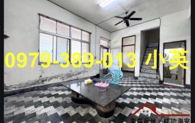 歸仁歸南國小大地坪透天